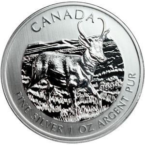 2013 Canadian Silver Antelope 1oz BU