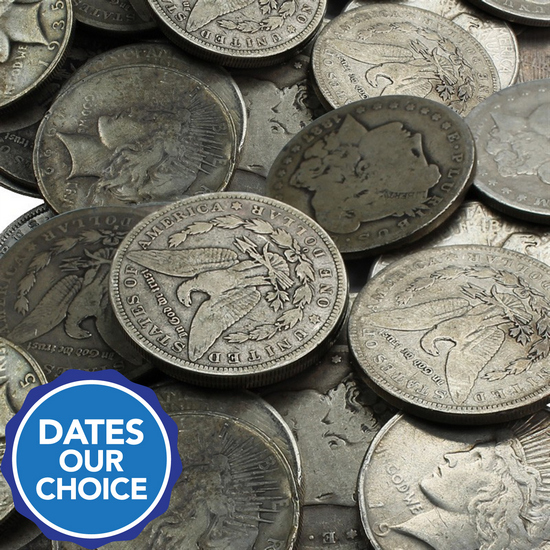 Cull Silver Dollars 100pc Dates Our Choice