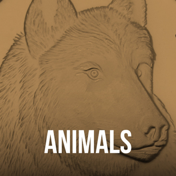 Animals Silver Gifts Animals Silver Gifts