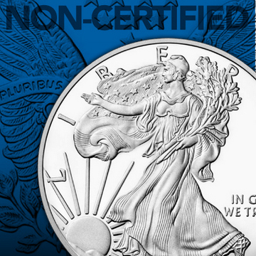 Non-Certified Silver American Eagles