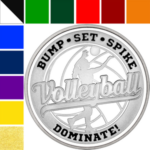 Volleyball Custom Enameled 1oz .999 Silver Medallion in Gift Box