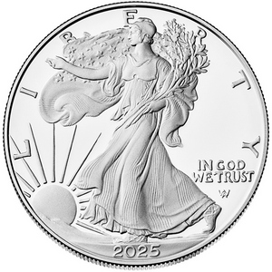 2025 W Silver American Eagle Coin PF in OGP 2025 W Silver American Eagle Coin PF in OGP