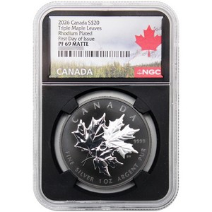 2009 China Silver Panda 30th Anniversary 1oz MS69 NGC 2009 China Silver Panda 30th Anniversary 1oz MS69 NGC