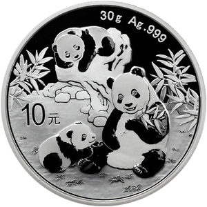 2025 China Silver Panda 30g BU Single 2025 China Silver Panda 30g BU Single