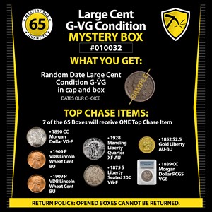 Large Cent C-VG Condition Mystery Box #010032