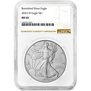 2024 W Burnished Silver American Eagle MS69 NGC Brown Label 2024 W Burnished Silver American Eagle MS69 NGC Brown Label