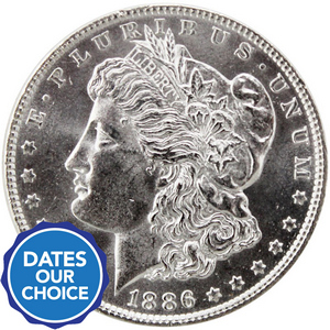 Pre-1921 Morgan Silver Dollar Date Our Choice AU/BU Condition