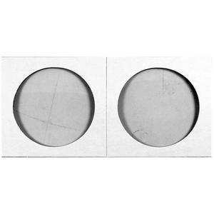 2 x 2 Coin Staple Up - Dollar 2 x 2 Coin Staple Up - Dollar