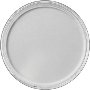 US Dollar Direct Fit Plastic Capsule - 38.1mm US Dollar Direct Fit Plastic Capsule - 38.1mm