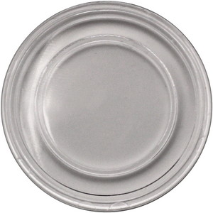 US Cent Direct Fit Plastic Capsule - 19mm US Cent Direct Fit Plastic Capsule - 19mm