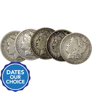 Pre-1921 Morgan Silver Dollars Dates Our Choice VG-VF Condition 5pc