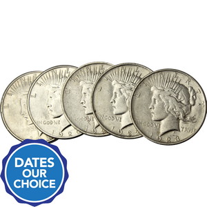 Silver Peace Silver Dollars Dates Our Choice Cull Condition 5pc