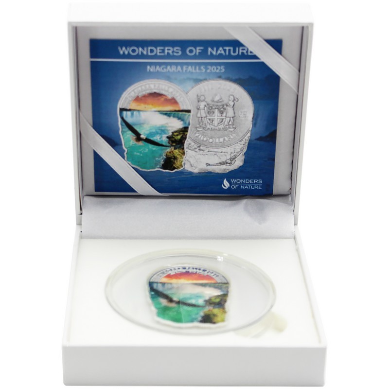 Niagara 1 Ounce Silver Coin | SilverTowne