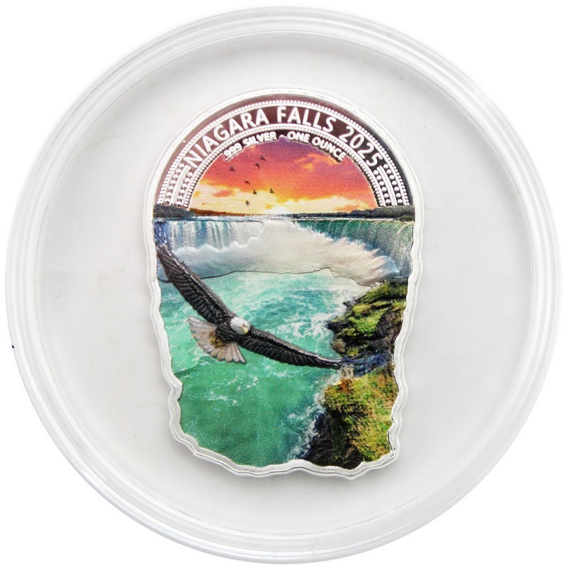 Niagara 1 Ounce Silver Coin | SilverTowne
