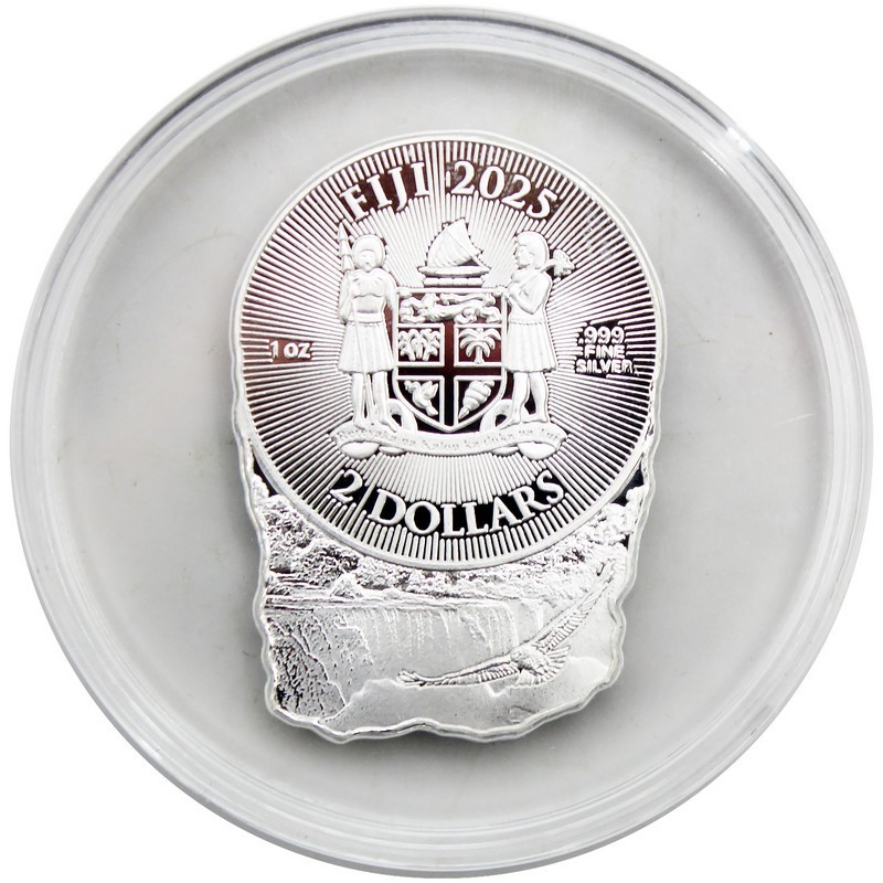 Niagara 1 Ounce Silver Coin | SilverTowne