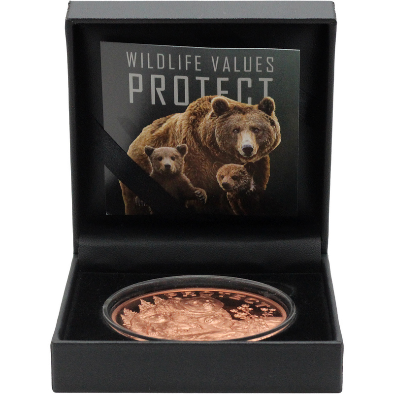 2026 Cameroon “Protect” Grizzly Bear 5 oz Copper Coin | SilverTowne 2026 Cameroon “Protect” Grizzly Bear 5 oz Copper Coin | SilverTowne