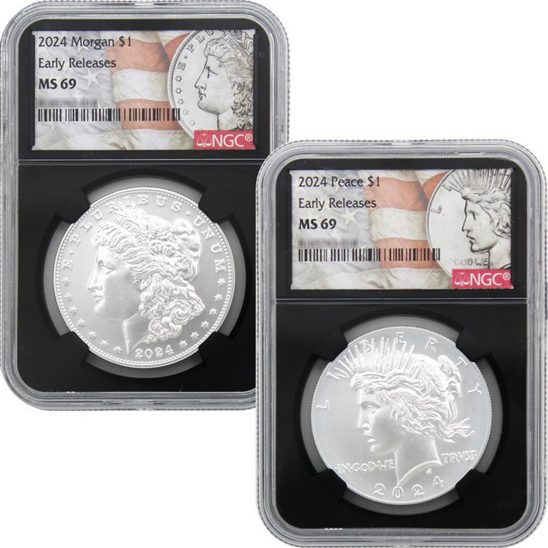 NGC MS69 2024 1/10オンス .999シルバー ブリタニア $_1.JPG?set_id=880000500F