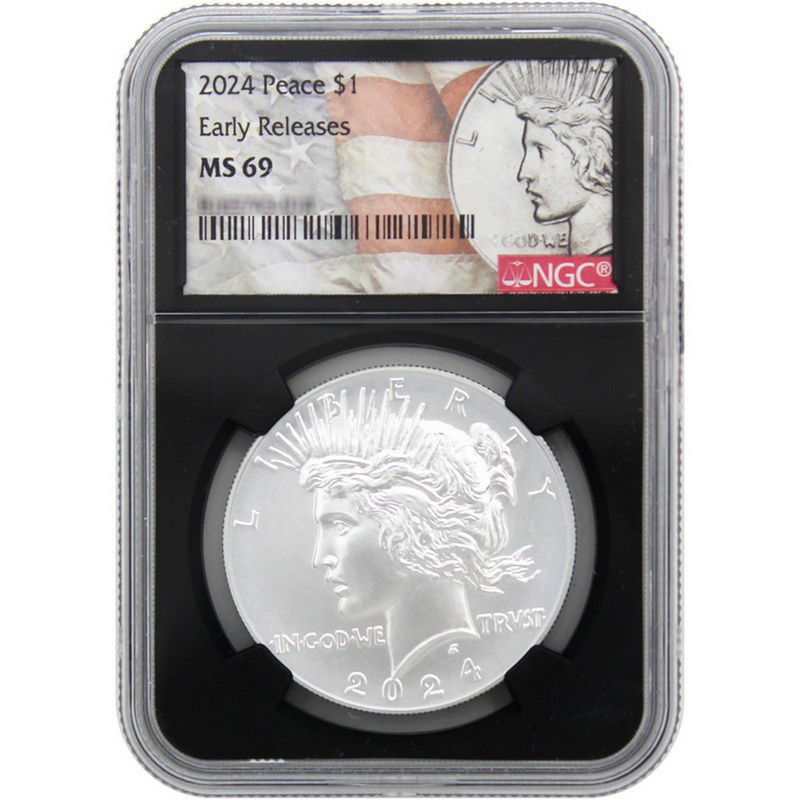 NGC MS69 2024 20ペンス 1/10オンス .999 シルバー NGC MS69 2024 20ペンス 1/10オンス .999 シルバー 英国