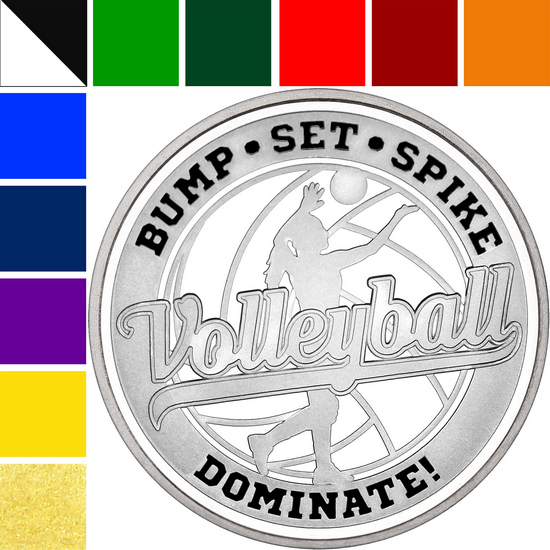 Volleyball Custom Enameled 1oz .999 Silver Medallion in Gift Box
