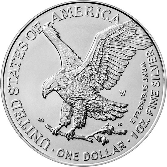 2023 W Burnished Silver American Eagle BU in OGP