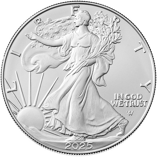 2025 W Burnished Silver American Eagle BU in OGP