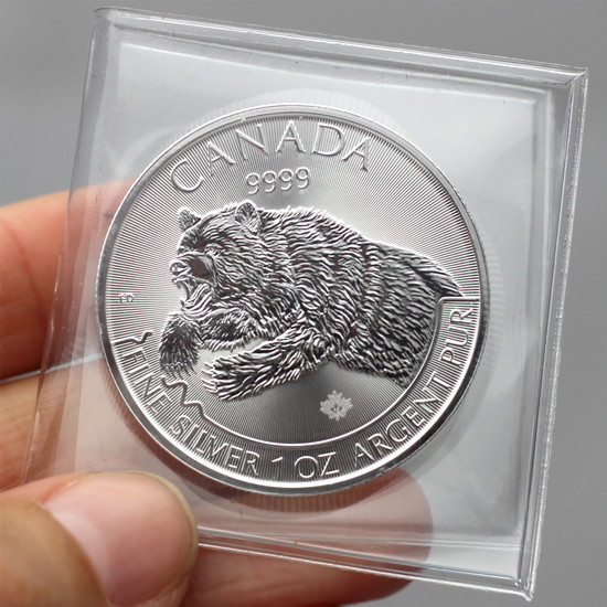Diffracted Light on a 2019 Canada Silver Grizzly 1oz Predator Series BU Coin