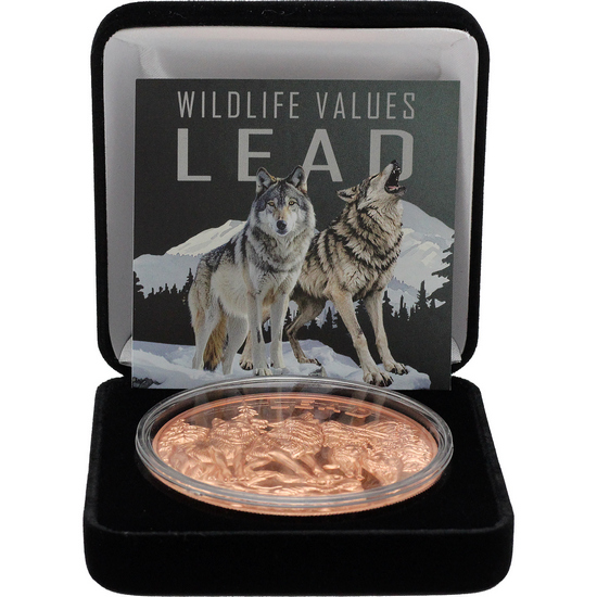 2026 Copper Cameroon Wildlife Values: Lead Wolf Pack High Relief 5oz Coin in OGP