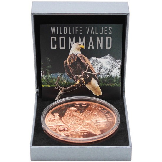 2026 100 Francs Cameroon Wildlife Value Series 5oz Copper High Relief North American Bald Eagle Command Coin OGP