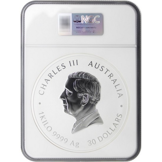 2025 P Australia Silver Year of the Snake Kilo Coin MS70 ER NGC Flag Label 2025 P Australia Silver Year of the Snake Kilo Coin MS70 ER NGC Flag Label
