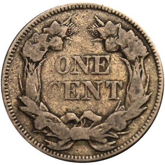 1858 Flying Eagle Cent AG/G Large Letters 1858 Flying Eagle Cent AG/G Large Letters