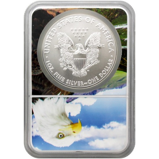 2019 Silver American Eagle MS70 NGC Eagle Core 2019 Silver American Eagle MS70 NGC Eagle Core