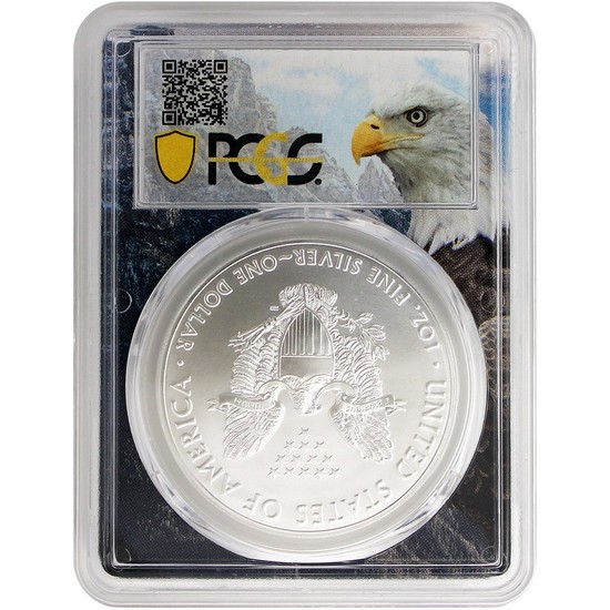 2020 Silver American Eagle MS70 FDI PCGS Eagle Frame 2020 Silver American Eagle MS70 FDI PCGS Eagle Frame