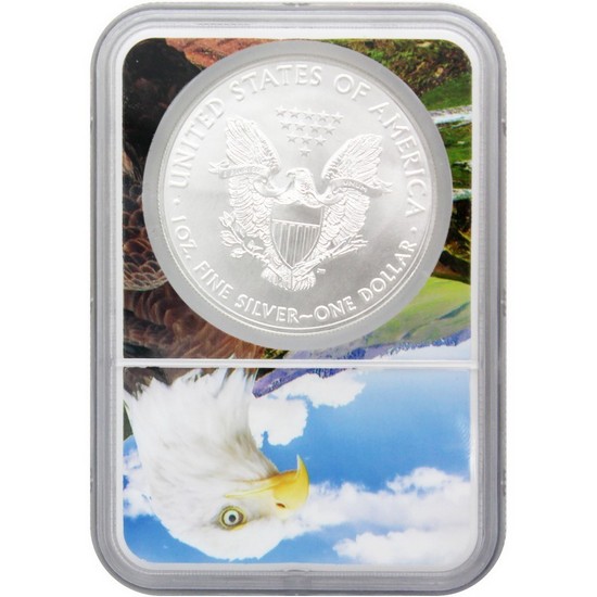 2020 Silver American Eagle MS70 NGC Eagle Core 2020 Silver American Eagle MS70 NGC Eagle Core