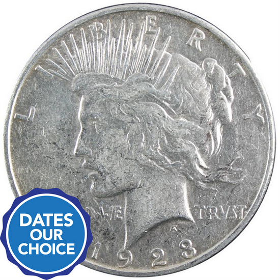 Silver Peace Dollar Date Our Choice VG-XF Single