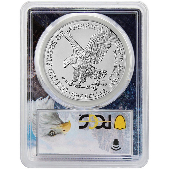 2025 Silver American Eagle Coin MS70 FDI PCGS Eagle Picture Frame