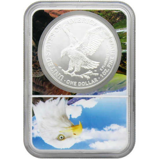 2025 Silver American Eagle Coin MS70 NGC Eagle Core 2025 Silver American Eagle Coin MS70 NGC Eagle Core