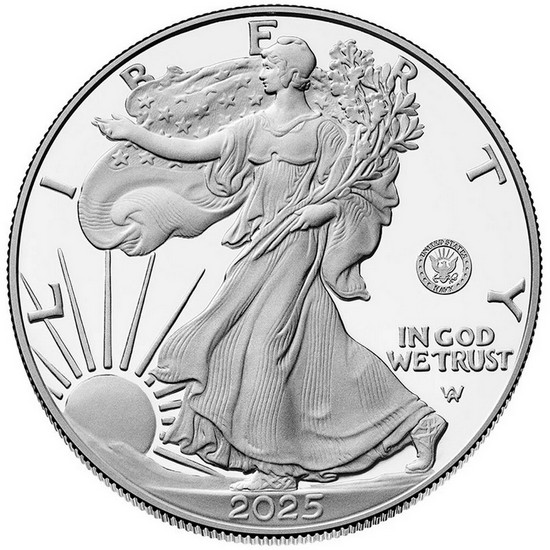 2025 S Silver American Eagle United States Navy Privy Proof Coin in OGP