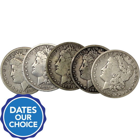 Pre-1921 Silver Morgan Dollars 5pc Dates Our Choice VG-VF