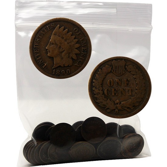 Indian Head Cent Bag - 50pc