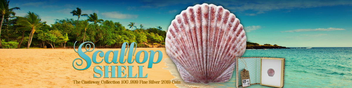 2019 Silver Scallop Seashell Fiji Castaway Series 2019 Silver Scallop Seashell Fiji Castaway Series